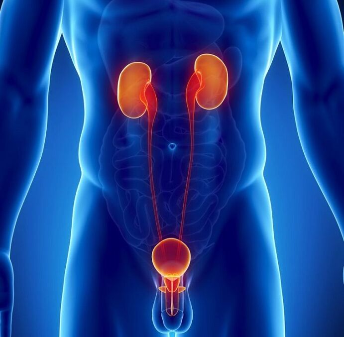 Which chronic diseases can affect male sexual performance